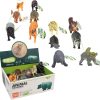 animal the world جعبه حبوانات جنگل