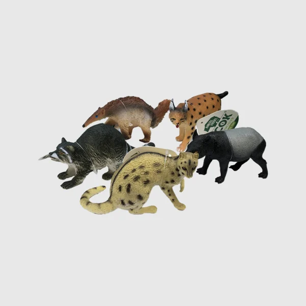 animall the world جعبه حیوان جنگل
